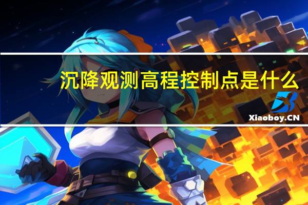 沉降观测高程控制点是什么