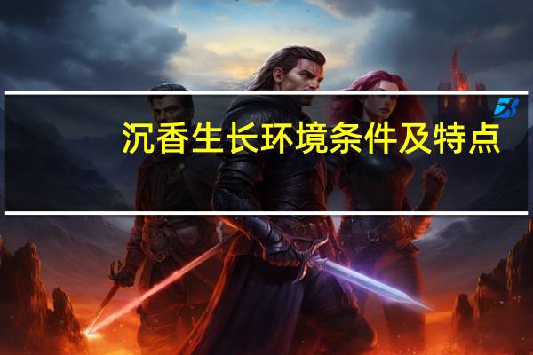 沉香生长环境条件及特点