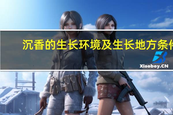 沉香的生长环境及生长地方条件