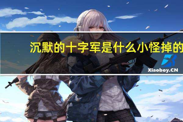 沉默的十字军是什么小怪掉的（沉默的十字军）