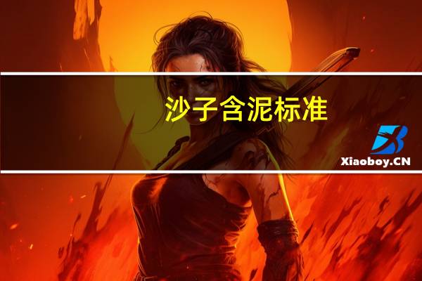 沙子含泥标准