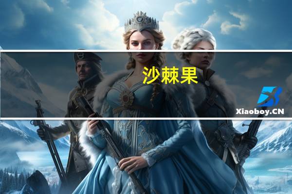 沙棘果（沙棘果）