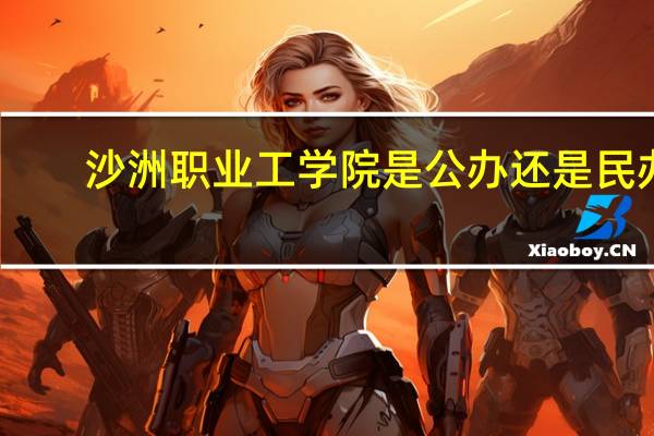 沙洲职业工学院是公办还是民办