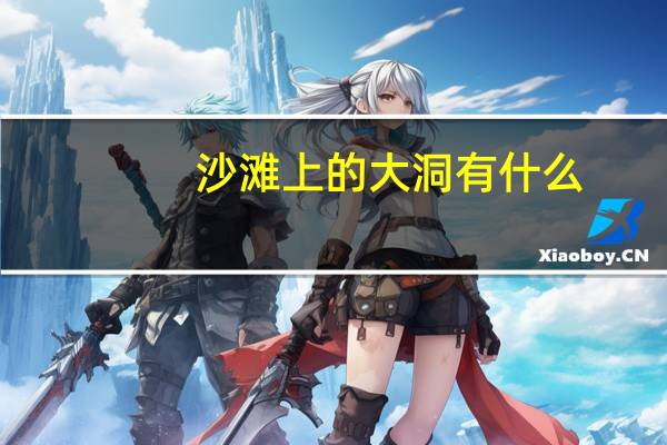 沙滩上的大洞有什么