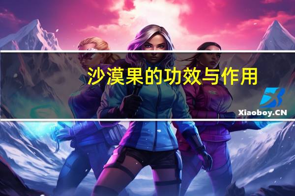 沙漠果的功效与作用（沙漠果）