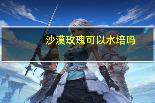 沙漠玫瑰可以水培吗