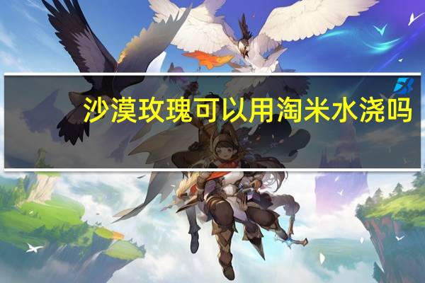 沙漠玫瑰可以用淘米水浇吗