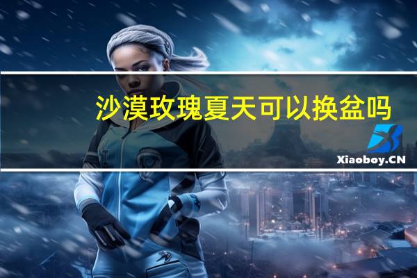 沙漠玫瑰夏天可以换盆吗