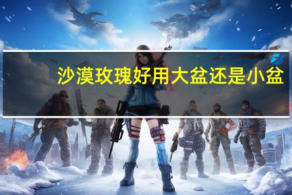 沙漠玫瑰好用大盆还是小盆