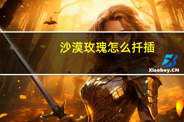 沙漠玫瑰怎么扦插