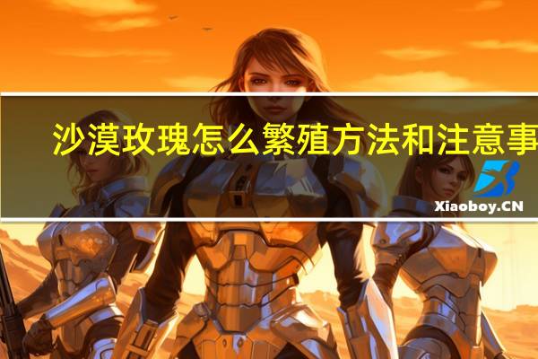 沙漠玫瑰怎么繁殖方法和注意事项