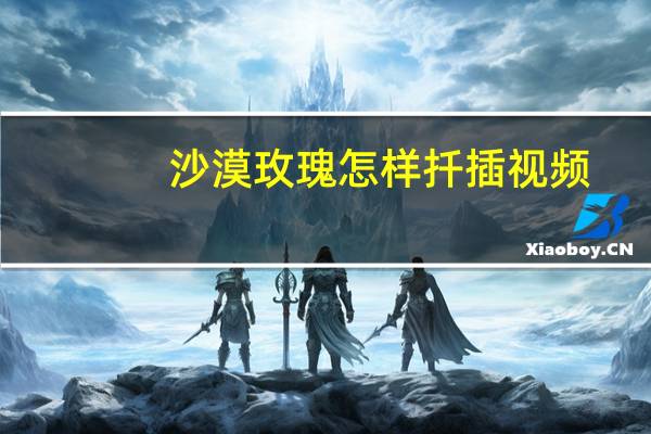 沙漠玫瑰怎样扦插视频