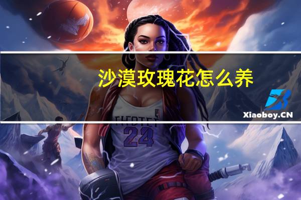 沙漠玫瑰花怎么养