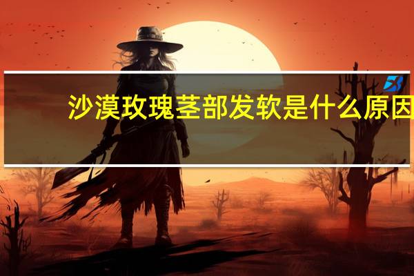 沙漠玫瑰茎部发软是什么原因