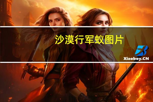 沙漠行军蚁图片（沙漠行军蚁）