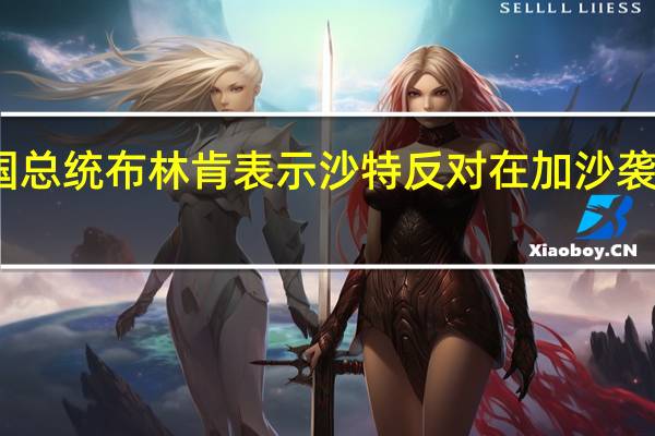沙特王储会见美国总统布林肯表示沙特反对在加沙袭击平民和破坏基础设施