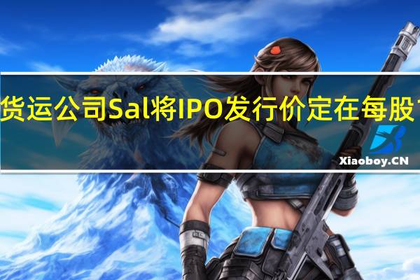 沙特航空货运公司Sal将IPO发行价定在每股106沙特里亚尔