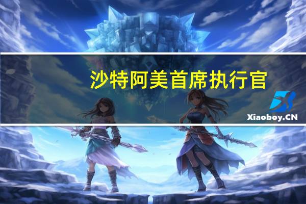沙特阿美首席执行官：下半年石油需求将达到创纪录的1.03-1.04亿桶/日
