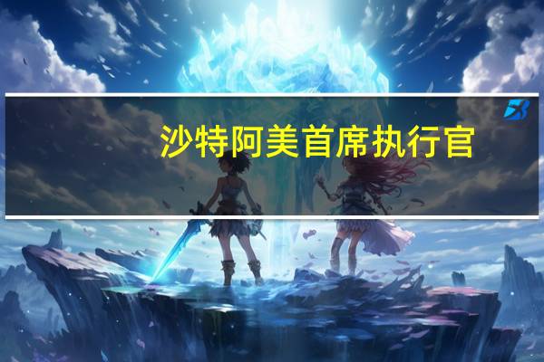 沙特阿美首席执行官：在能源转型中不希望从燃料依赖转向矿产依赖