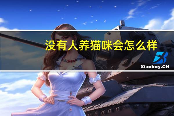 没有人养猫咪会怎么样