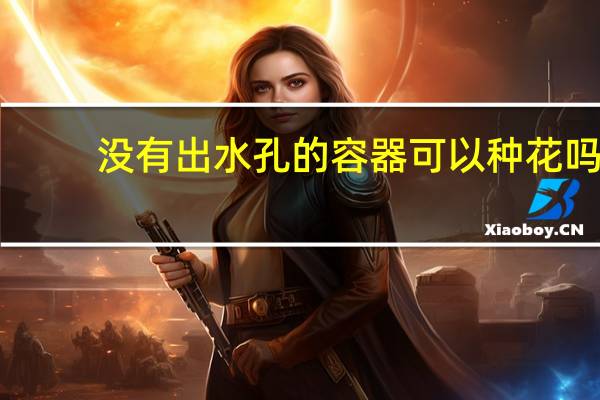 没有出水孔的容器可以种花吗