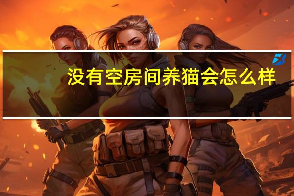 没有空房间养猫会怎么样