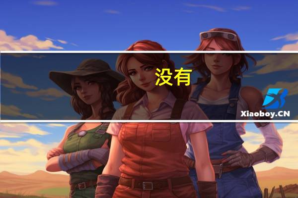 没有（关于没有的介绍）