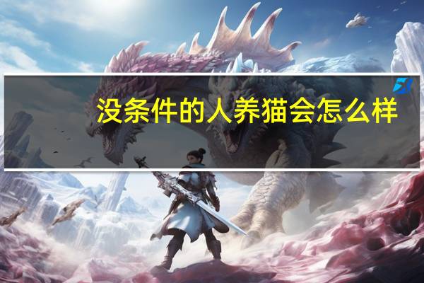 没条件的人养猫会怎么样