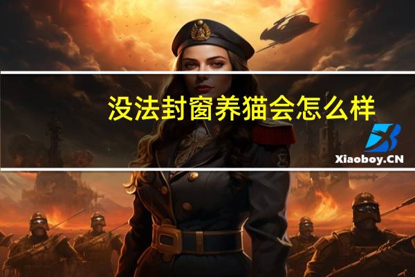 没法封窗养猫会怎么样