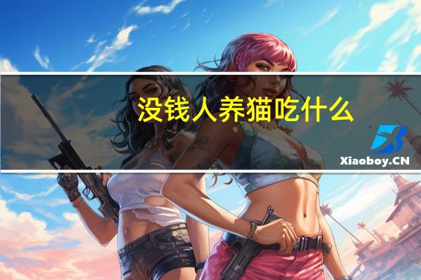 没钱人养猫吃什么