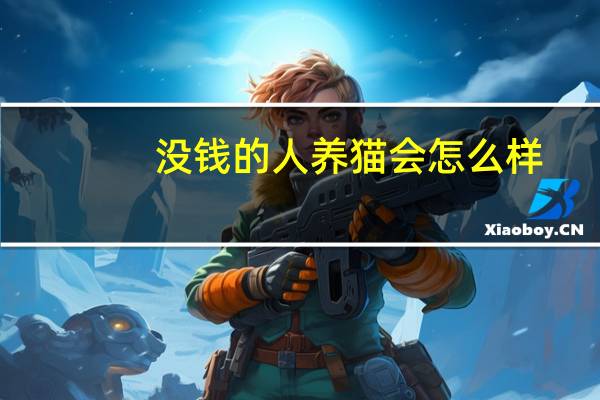 没钱的人养猫会怎么样