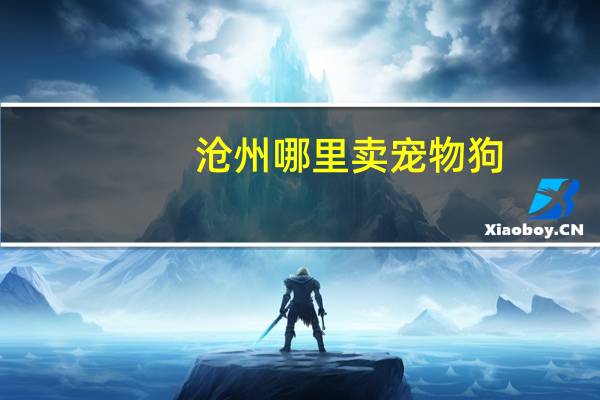 沧州哪里卖宠物狗