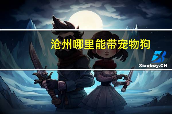 沧州哪里能带宠物狗