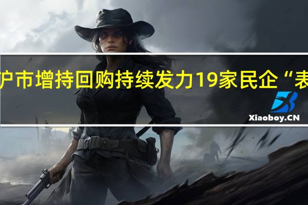 沪市增持回购持续发力 19家民企“表心声”