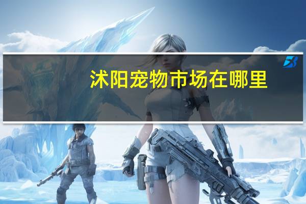 沭阳宠物市场在哪里