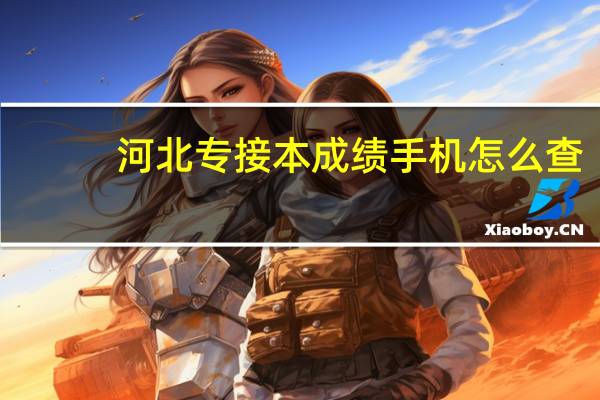 河北专接本成绩手机怎么查