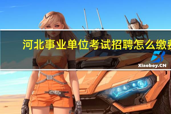 河北事业单位考试招聘怎么缴费