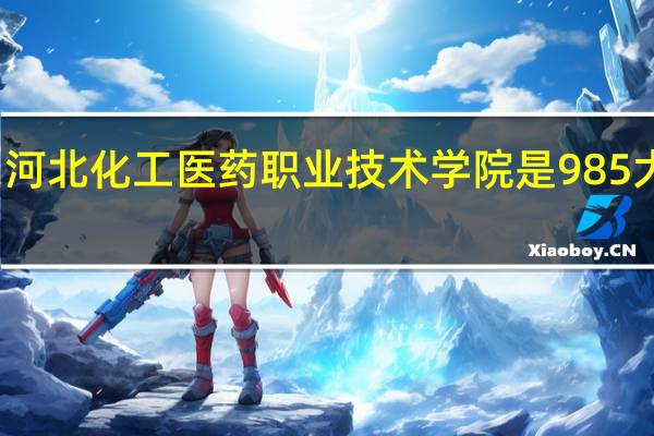 河北化工医药职业技术学院是985大学吗