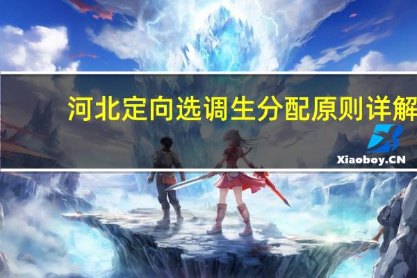 河北定向选调生分配原则详解