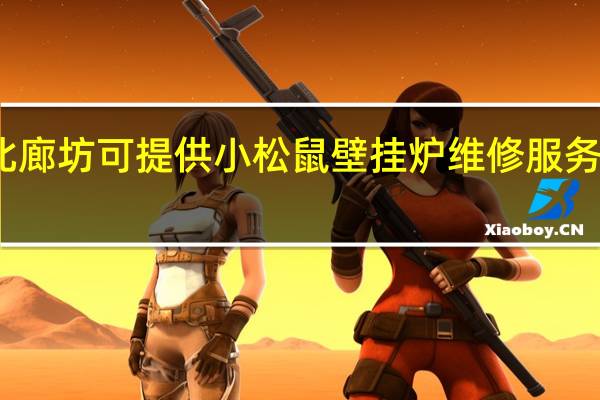 河北廊坊可提供小松鼠壁挂炉维修服务地址在哪