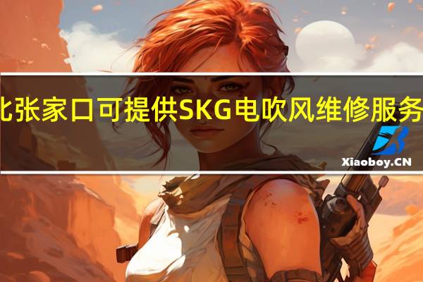河北张家口可提供SKG电吹风维修服务地址在哪