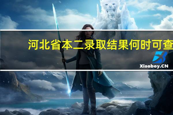 河北省本二录取结果何时可查