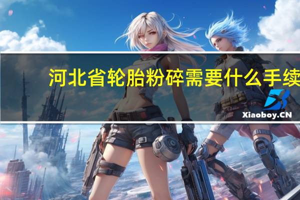 河北省轮胎粉碎需要什么手续