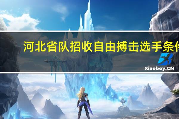 河北省队招收自由搏击选手条件