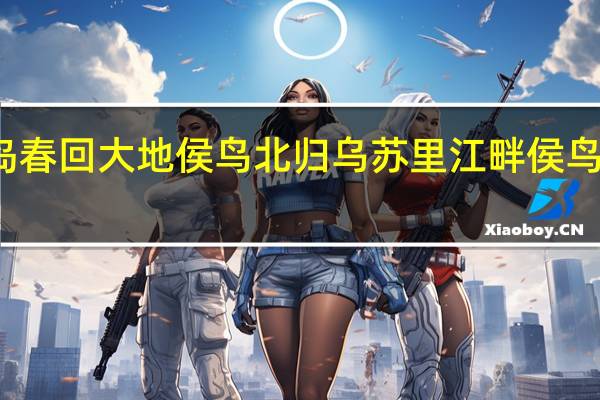 河北秦皇岛春回大地侯鸟北归 乌苏里江畔侯鸟北归拉满春氛围