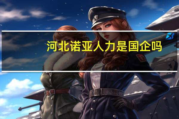 河北诺亚人力是国企吗
