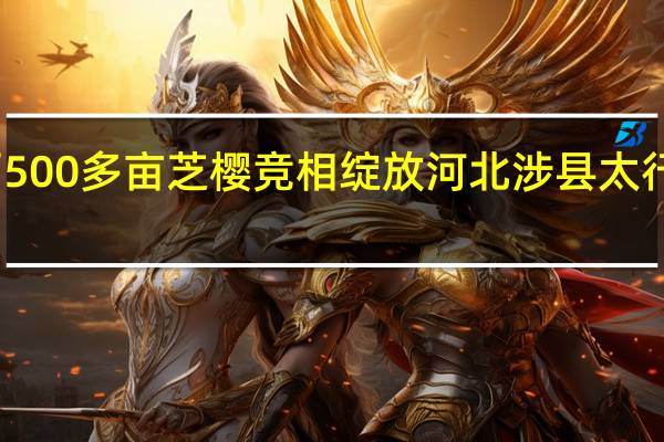 河北迁西500多亩芝樱竞相绽放 河北涉县太行深处连翘花开