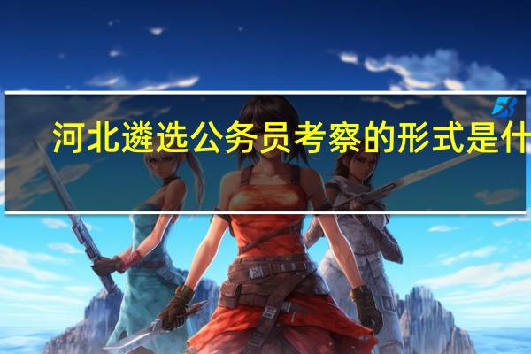 河北遴选公务员考察的形式是什么