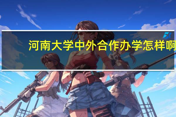 河南大学中外合作办学怎样啊