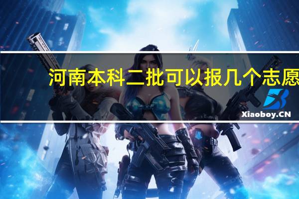 河南本科二批可以报几个志愿